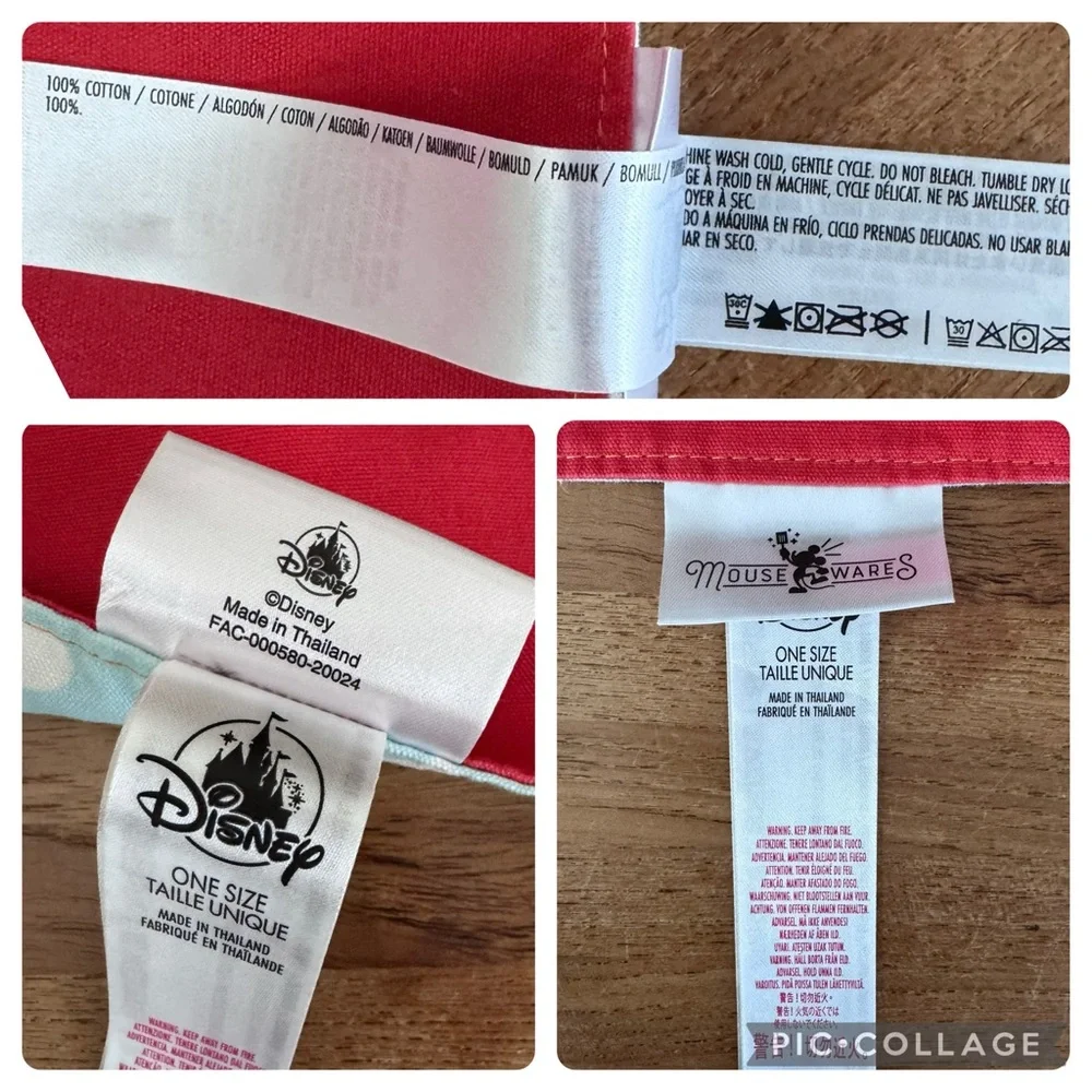 Disney parks authentic